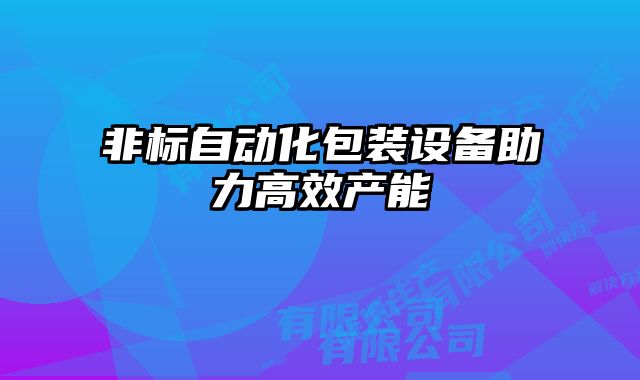 非標自動化包裝設備助力高效產能